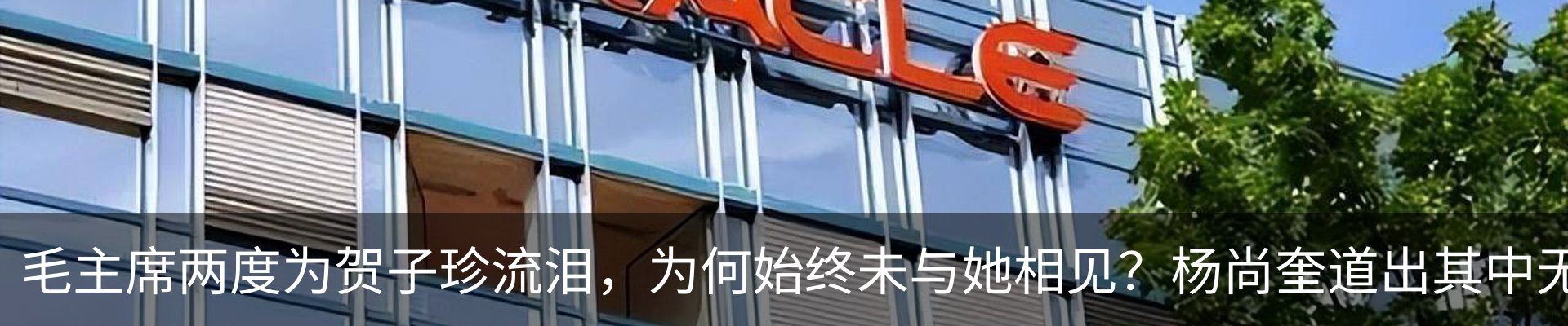 最新动态